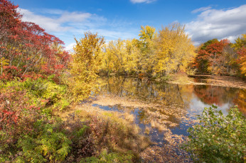 Картинка природа реки озера простор