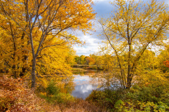 Картинка природа реки озера простор