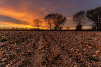 Картинка природа восходы закаты поле осень закат