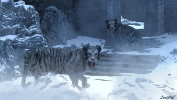 Картинка 3д+графика животные+ animals тигры