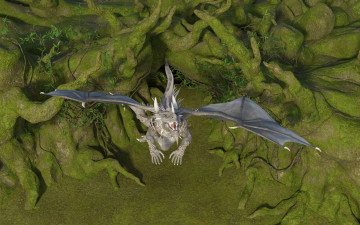 обоя 3д графика, существа , creatures, полет, дракон