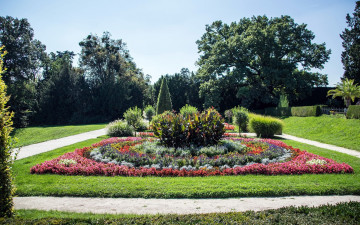 Картинка природа парк клумба