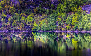 Картинка природа реки озера река вода