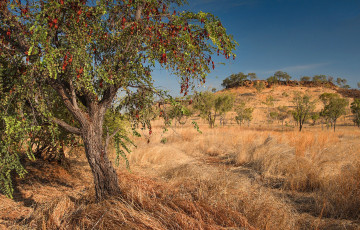 Картинка природа пейзажи простор