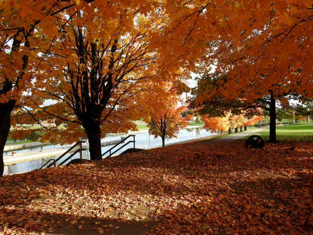 Обои картинки фото природа, парк, листопад, осень