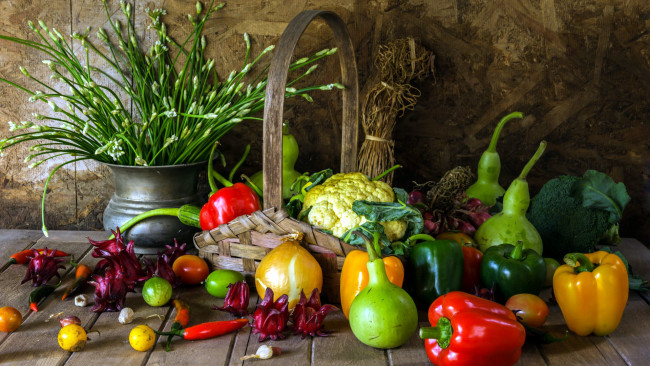 Обои картинки фото еда, овощи, тыква, капуста, перец
