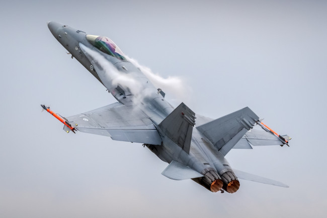 Обои картинки фото hornet, авиация, боевые самолёты, ввс