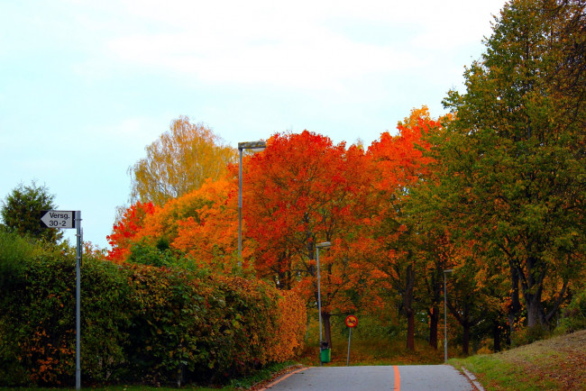 Обои картинки фото природа, дороги, деревья, дорога, осень