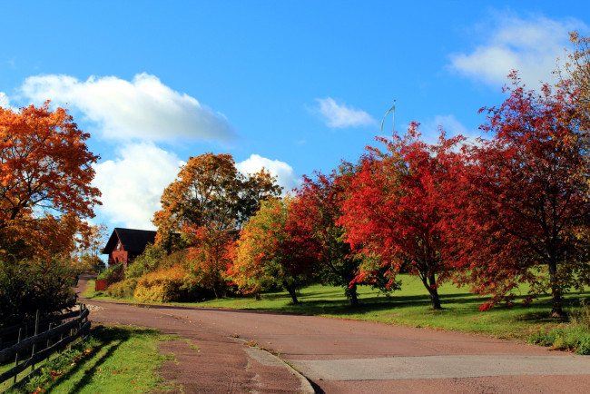 Обои картинки фото природа, дороги, деревья, дорога, осень