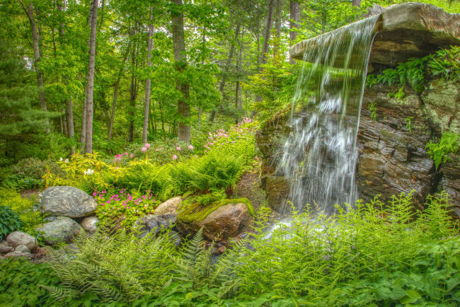 Обои картинки фото природа, лес, простор