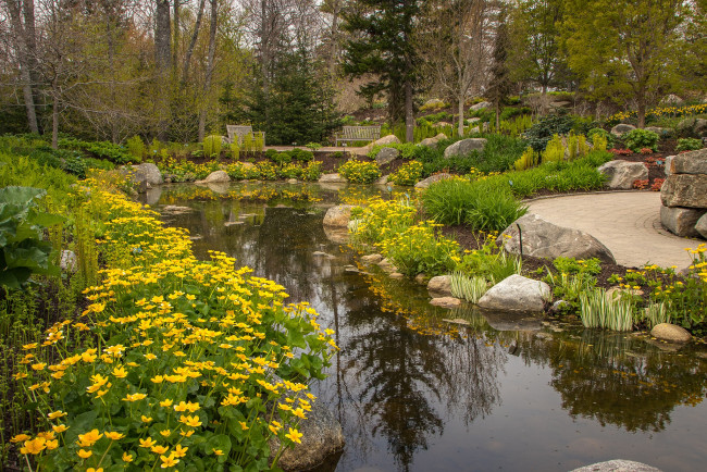 Обои картинки фото природа, парк, простор