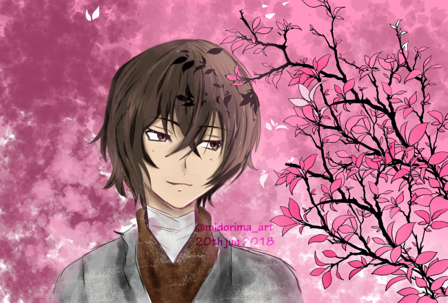 Обои картинки фото аниме, bungou stray dogs, бродячие, псы, литературные, гении