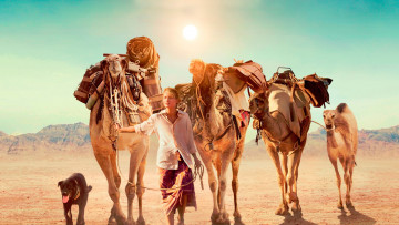 Картинка tracks+ 2013 кино+фильмы -unknown+ другое tracks mia wasikowska биография драма robyn davidson миа васиковска