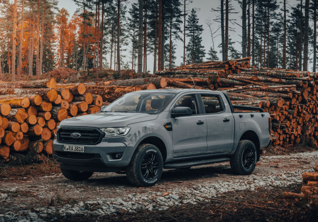 Обои картинки фото автомобили, ford