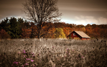 обоя города, - здания,  дома, дом, луг, трава, деревья, лес, осень