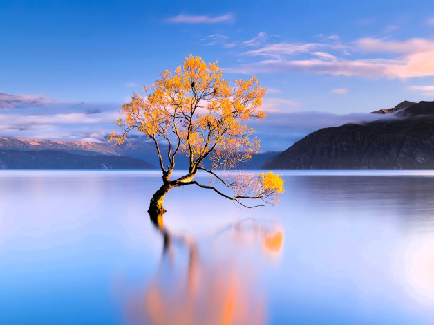 Обои картинки фото природа, реки, озера, дерево, озеро, осень, горы