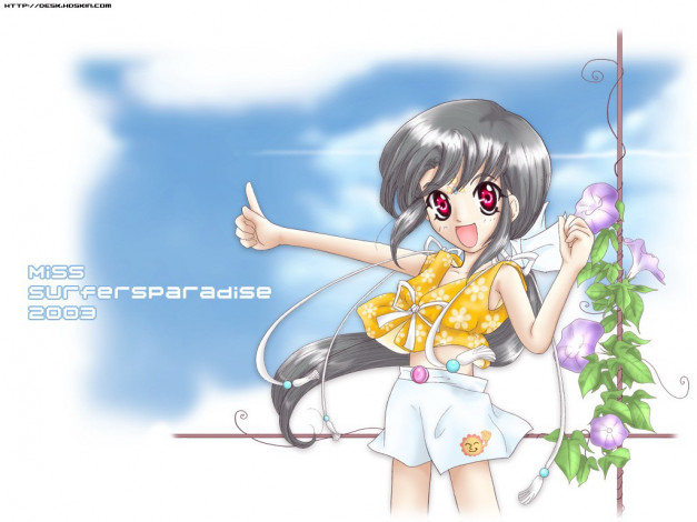 Обои картинки фото аниме, miss, surfersparadise