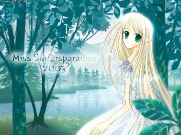 Обои картинки фото аниме, miss, surfersparadise