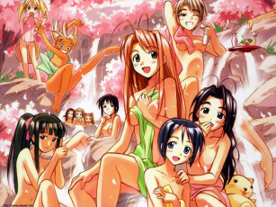 Картинка аниме love hina
