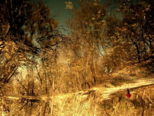 Картинка фэнтези иные миры времена