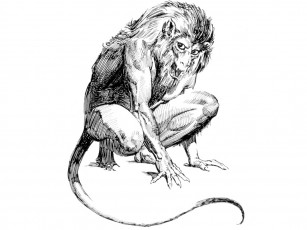 Картинка фэнтези существа