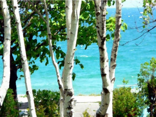 Картинка рисованные природа