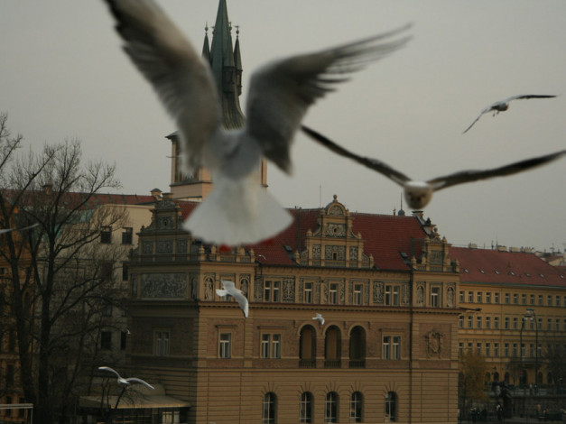 Обои картинки фото города