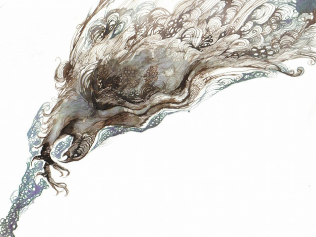 Обои картинки фото рисованные, животные, птицы, орлы