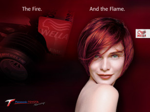 Картинка бренды wella