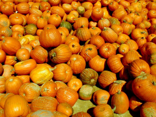 Картинка еда тыква