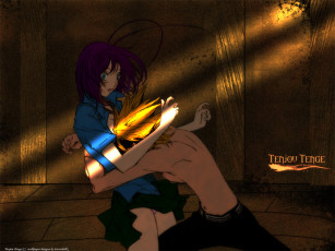Картинка аниме tenjou tenge
