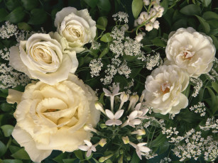 Картинка цветы разные вместе