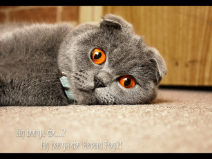 Картинка eugene kulikov ну когда же животные коты