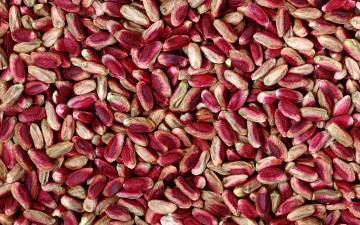 Картинка еда бобовые