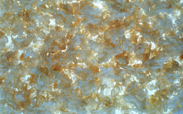 Картинка еда крупы зерно специи семечки