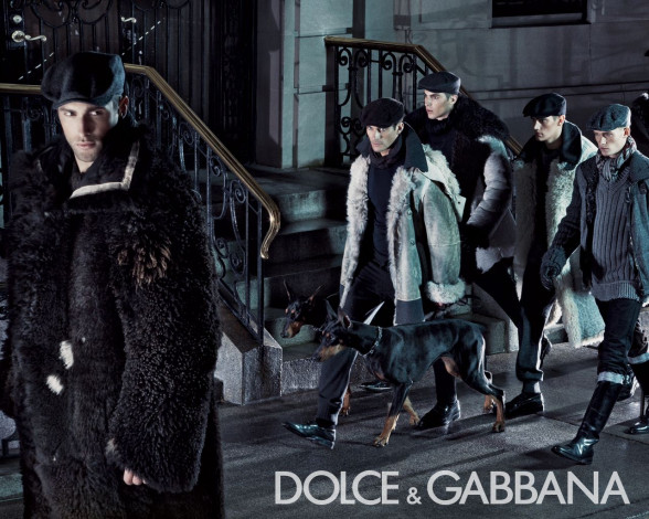 Обои картинки фото бренды, dolce, gabbana