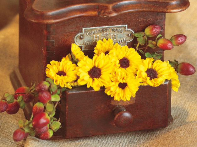 Обои картинки фото цветы, букеты, композиции