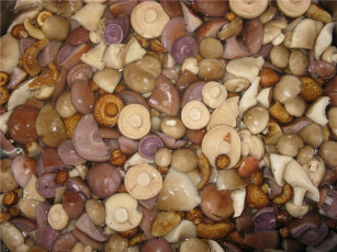 Картинка еда грибы грибные блюда