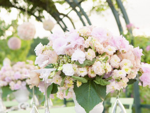 Картинка цветы букеты композиции