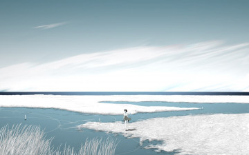 Картинка аниме *unknown другое девушка поле облака трава вода