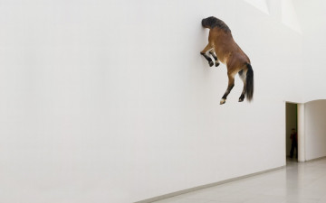 Картинка юмор приколы