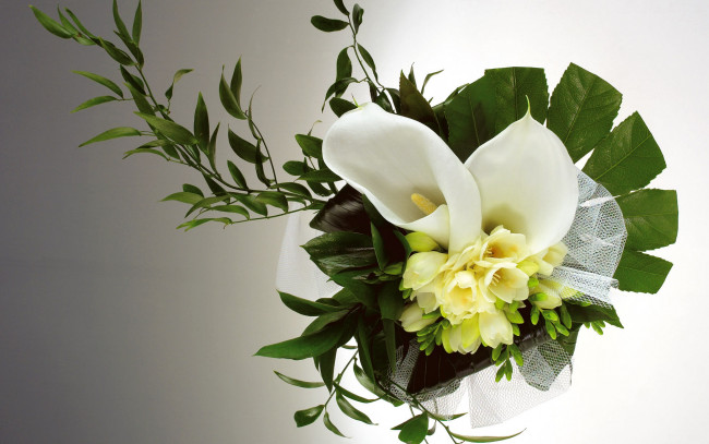 Обои картинки фото цветы, букеты, композиции