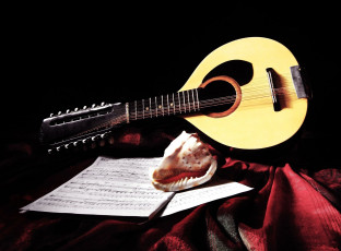 Картинка музыка музыкальные инструменты бандуррия