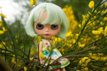 Картинка разное игрушки куст платье кукла