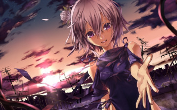 Картинка аниме *unknown другое девушка небо закат город цветок