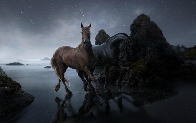 Обои картинки фото 3д, графика, animals, животные, кони, камни, вода