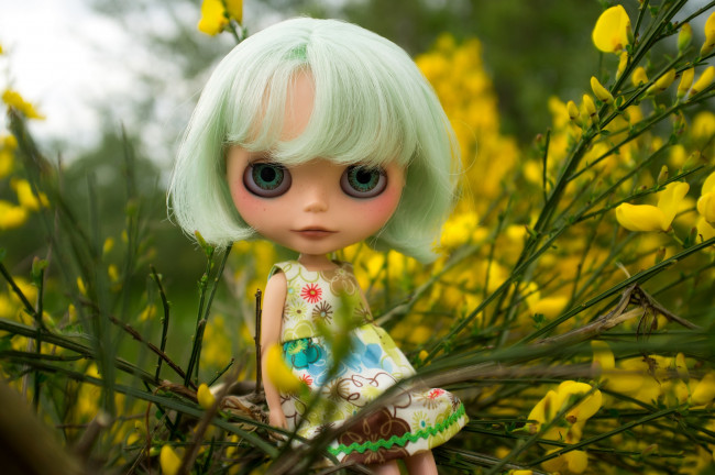 Обои картинки фото разное, игрушки, куст, платье, кукла