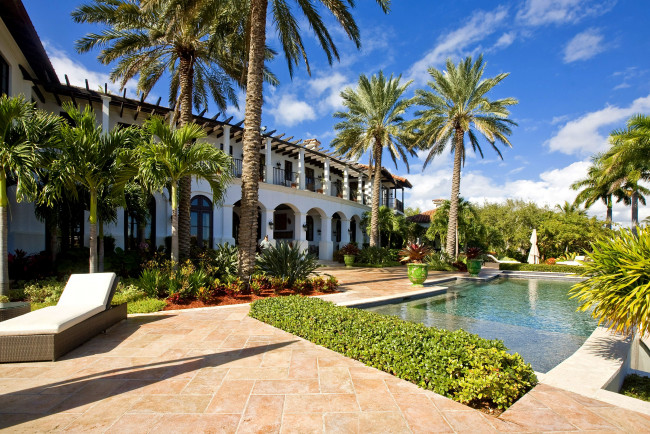 Обои картинки фото интерьер, бассейны, открытые, площадки, пальма, бассейн