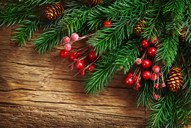 Обои картинки фото праздничные, Ёлки, еловая, ветка, шишки, ягоды