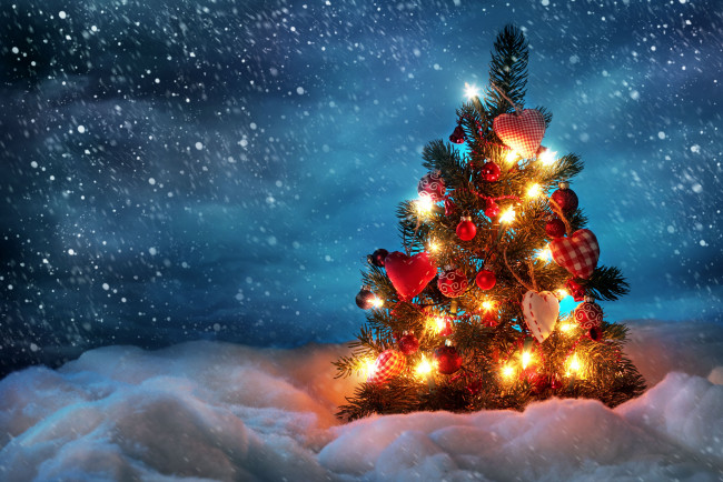 Обои картинки фото праздничные, Ёлки, снег, сердечки
